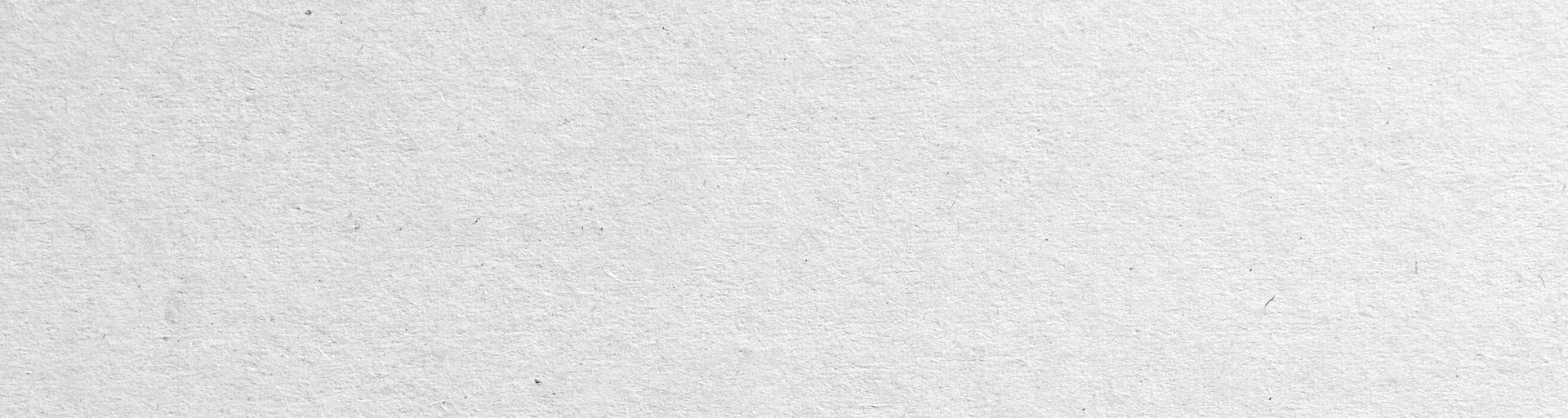 elansvar-intro-for-foretagsledning